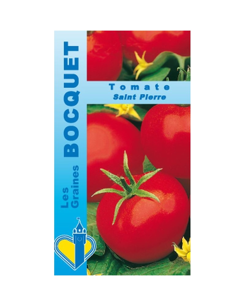 Graines Tomate Saint Pierre - Solanum lycopersicum saint pierre