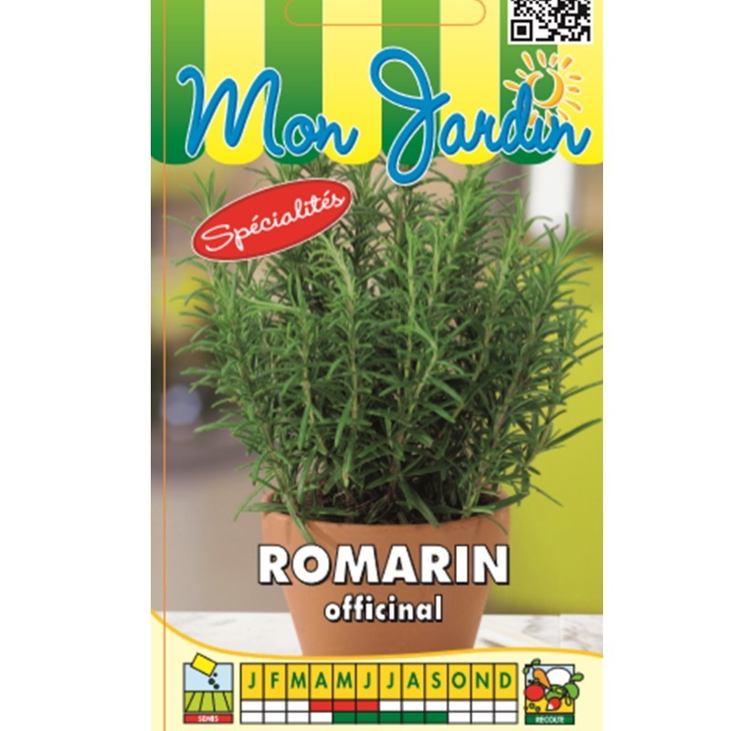 Graines de Romarin BIO – Plante vivace aromatique et médicinale