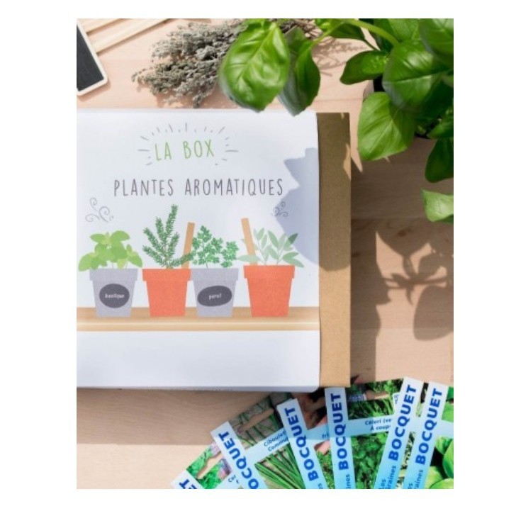 Box cadeau de jardinage - Plante aromatique