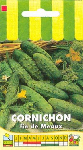 Concombre Vert Long Maraicher Bio - La Boîte à Graines