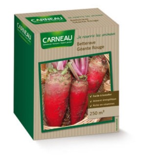 Box pour semer 7 légumes méditerranéens