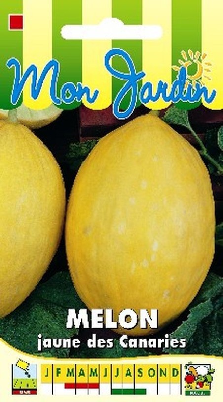 Graines de Melon Jaune des Canaries à semer | Graines Bocquet