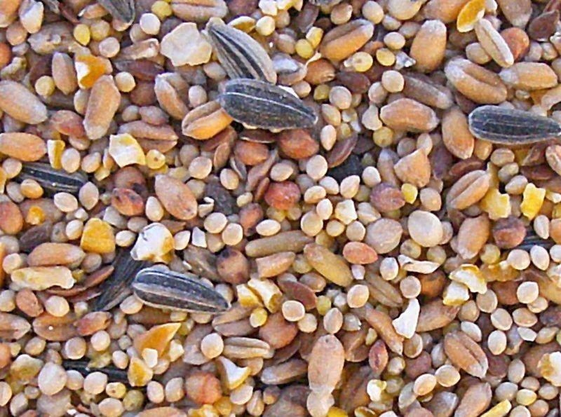 Mélange de graines pour oiseaux de jardin sac 2 kg.