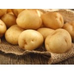 Filets de 25 Plants de Pommes de Terre Tardives | Graines Bocquet
